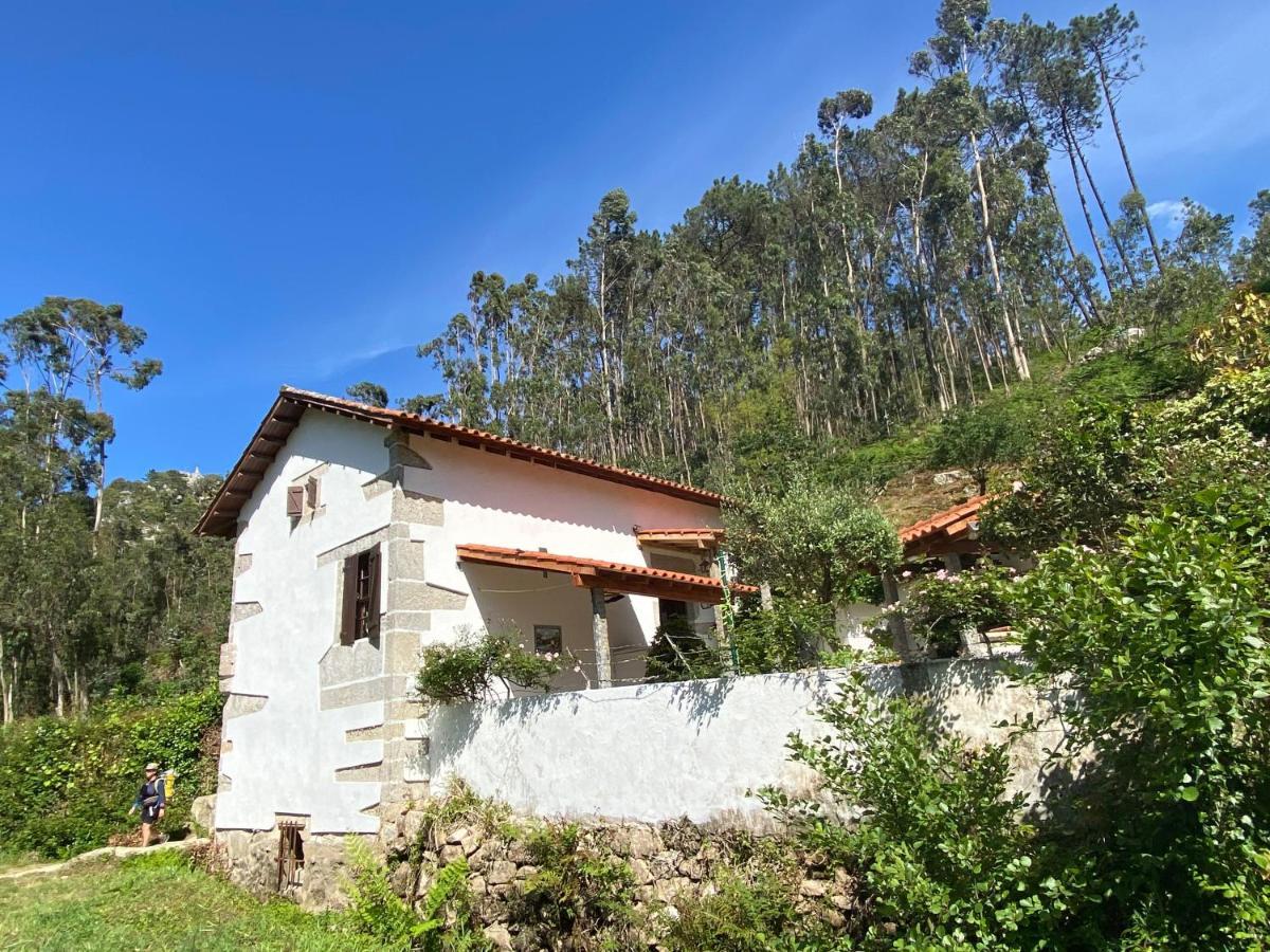 Willa Casa Da Azenha Branca Castelo Do Neiva Zewnętrze zdjęcie