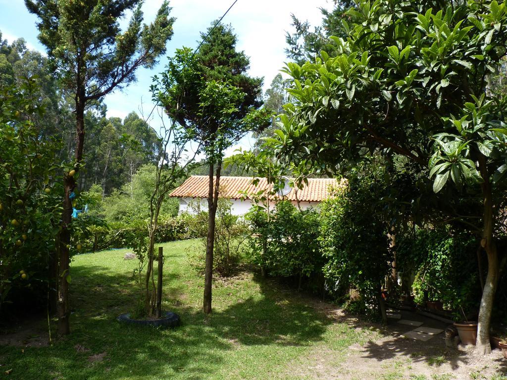 Willa Casa Da Azenha Branca Castelo Do Neiva Zewnętrze zdjęcie